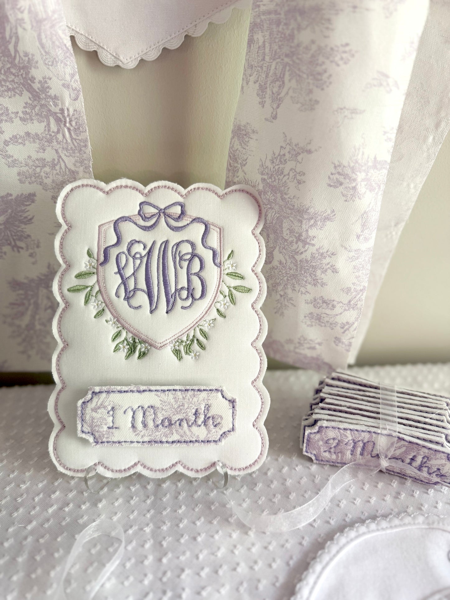 Baby Milestone Set